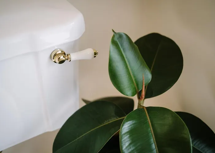 The Den - The White House Windermere - Off-site Health Club & 2 Minute Walk Away * Bowness-on-Windermere