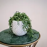 The Den - The White House Windermere - Off-site Health Club & 2 Minute Walk Away