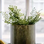 The Den - The White House Windermere - Off-site Health Club & 2 Minute Walk Away *