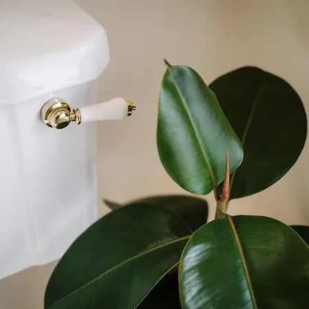 The Den - The White House Windermere * Bowness-on-Windermere